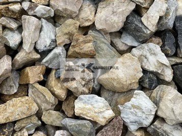 1195