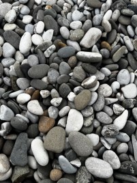 464
