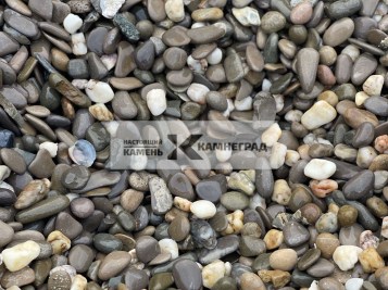 Image_13
