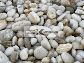 Image_1