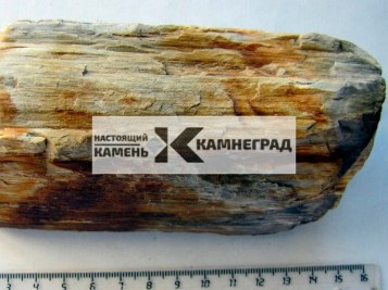 od2-1601897920