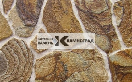 peschanik_drevovidnyy-1710767601