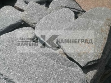 slanec-serebrit-galtovannyj0