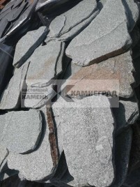 slanec-serebrit-galtovannyj4